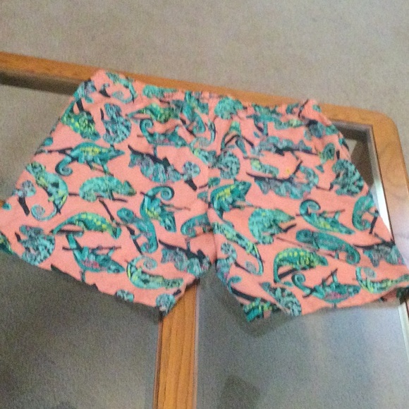 Swim trunks size 2 or 3X - Picture 4 of 6
